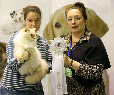 �������� ����� 18-19 ������� 2014 WCF-����� 1-170-169A3132 copy.jpg